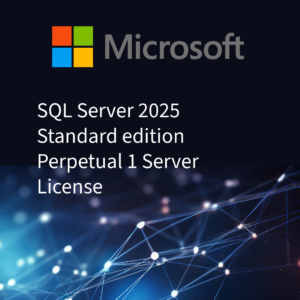 SQL Server 2025 Standard edition Perpetual 1 Server License